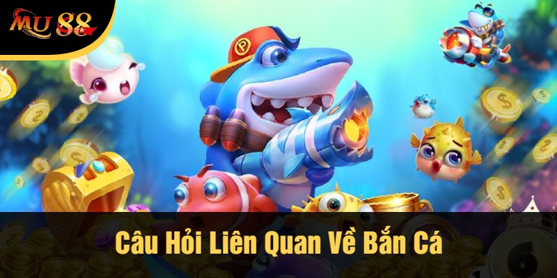 Câu Hỏi Liên Quan Về Bắn Cá